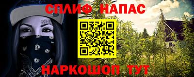 а пвп мука Кингисепп