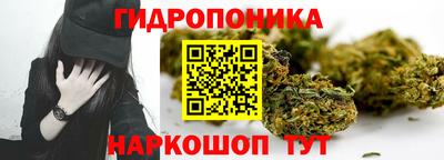 а пвп мука Кингисепп